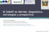 El SAMAT en Mérida: diagnóstico, estrategias y prospectiva.