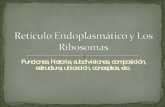 Retículo Endoplasmático Y Los Ribosomas