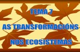 Sucesion ecologica bio 4 t7 transformacións nos ecosistemas