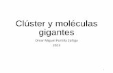 Clúster y moléculas gigantes