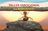 Taller Emocional Resiliencia-Enfermería