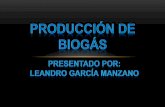 Exposicion produccion de biogas