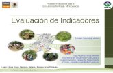 Indicadores Económico Ambientales, Microcuencas Jalisco, México