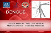 Dengue, guidelines 2013