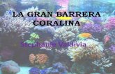 La Gran Barrera Coralina