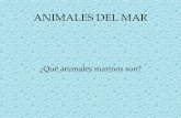 Los Animales Marinos.