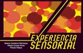 Experiencia sensorial