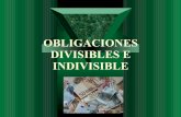 Presentacion obligaciones divisibles e indivisibles