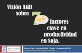 SOJA : Visión AGD sobre 7 factores clave en la productividad de la soja.