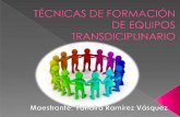 Técnicas de formación de equipos transdiciplinario