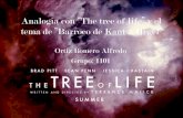 Analogía de la Película "The tree of life" con el pensamiento Racionalista