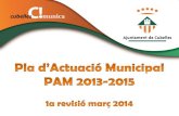 Revisió PAM (març 2014)
