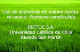 Uso de saponinas contra el cacol_Ricardo San Martin - R.M.