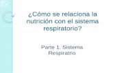 Nutricion y Respiracion. Primera parte