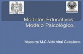 Modelos Educativos: Modelo Psicologico (Corrientes Humanista, Conductista y Cognositivista).