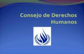 5.2 consejo de derechos humanos