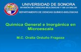 QuíMica General E InorgáNica En Microescala
