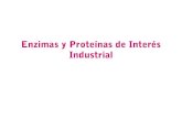 enzimas y proteinas de interes industrial
