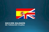Bilingual section presentation