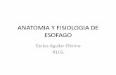 Anatomia y fisiologia de esofago