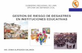 41.04 sismos y simulacro para instituciones educativas (1)
