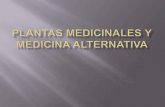 Plantas medicinales y medicina alternativa