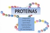 Las Proteínas
