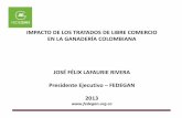 Impacto TLC en la ganadería colombiana