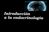 Introducción a la  Endocrinología