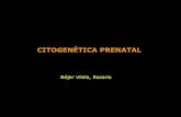 Citogenetica prenatal