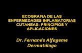 Taller de ecografia cutánea Dr. Alfageme (Madrid) Enfermedades inflamatorias