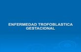 Enfermedad trofoblastica gestacional.