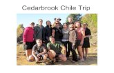 Cedarbrook chile trip