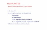 Neoplasies 2-09-10vv