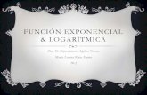Función exponencial & logarítmica