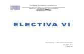 Electiva VI
