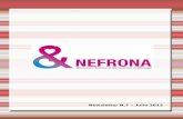 Nefrona project: newsletter 7