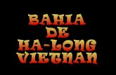 La bahia de Halong (Vietnam)
