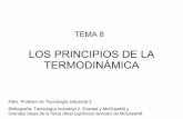 Los Principios De La TermodináMica