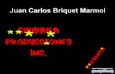 Juan Carlos Briquet Marmol - India