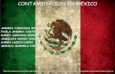 Contaminación en México