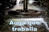 A auga na cultura galega. Auga que traballa