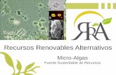 RRA Micro Algas, fuente sustentable de recursos