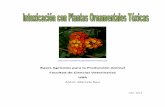 Plantas ornamentales toxicas