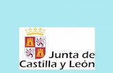 Competencias Básicas en el currículo de las enseñanzas mínimas de Castilla y León
