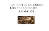 La Protesta Sobre Animales