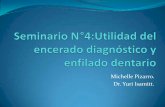 Seminario 4: Utilidad del encerado diagnóstico y enfilado dentario
