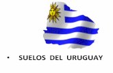 Presentación de 3° año suelos del uruguay