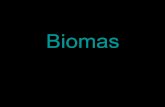 Biomas argentinos por monica marenzi