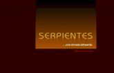 Serpientes (por: carlitosrangel)